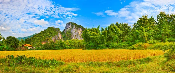 Bellissimo paesaggio rurale. Luang Prabang. Laos. Panorama — Foto Stock