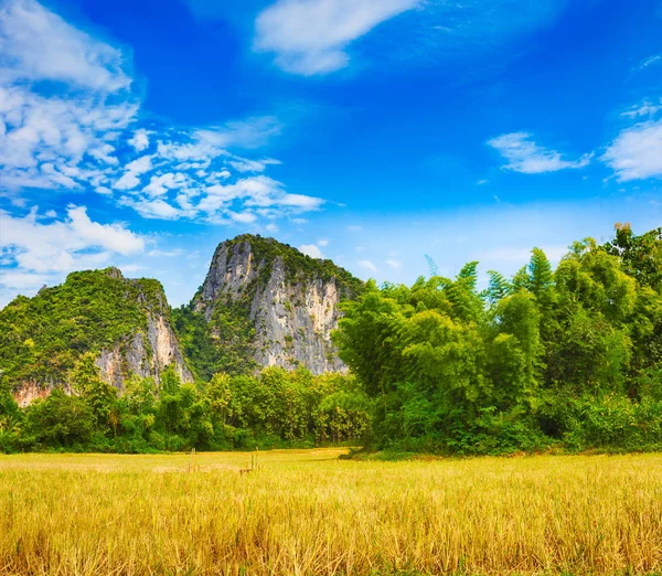 Schöne ländliche Landschaft. luang prabang. laos. — Stockfoto