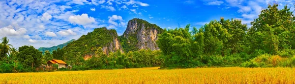 Piękny wiejski krajobraz. Luang Prabang. Laosu. Panorama — Zdjęcie stockowe