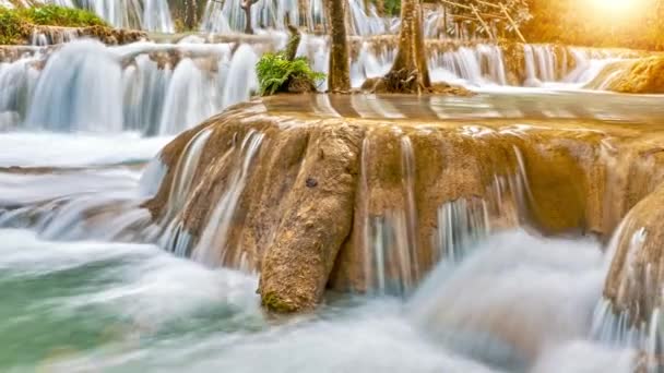 Fliegen Über Fantasie Geheimnisvolle Waldbach Zeitraffer Zauberhafter Schöner Wasserfall Herzen — Stockvideo