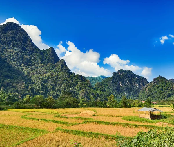 Piękna krajobrazu wiejskiego. Vang Vieng, Laos. — Zdjęcie stockowe