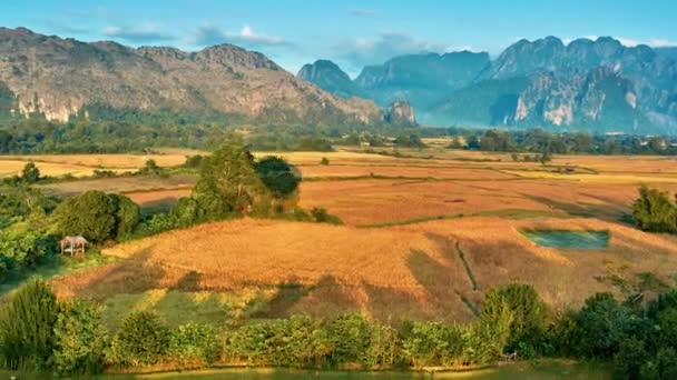 Légi Madártávlati Napkelte Idő Meg Völgy Táj Karsztvidék Rizsföldek Laosz — Stock videók