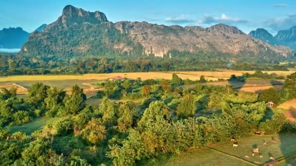 Вид Высоты Птичьего Полета Долину Карстовыми Горами Рисовыми Полями Лаос — стоковое видео