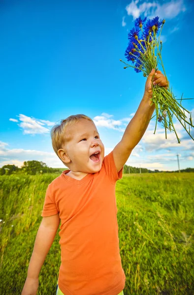 Niño con acianos — Foto de Stock