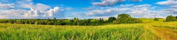 Paisagem rural. Panorama — Fotografia de Stock