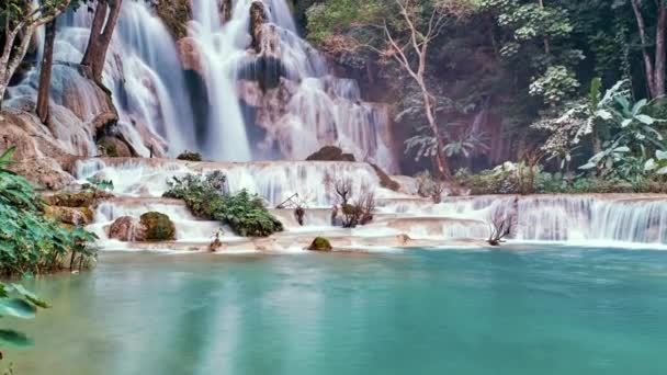 ファンタジー不思議の森ストリームの時間経過を飛ぶ 緑の妖精の森の中心部に魚のいる池と魔法の美しい滝 — ストック動画