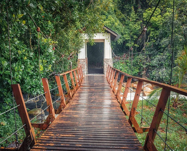 Footbridge no parque nacional de Penang, Malásia — Fotografia de Stock