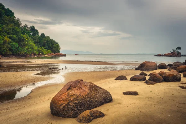 Nationaal park Penang, Maleisië. — Stockfoto