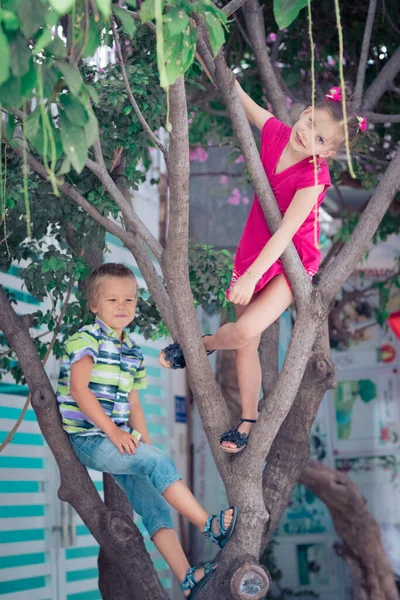 男の子と女の子は木で楽しんでいます — ストック写真