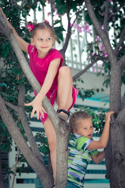 Мальчик Девочка Веселятся Дереве — стоковое фото