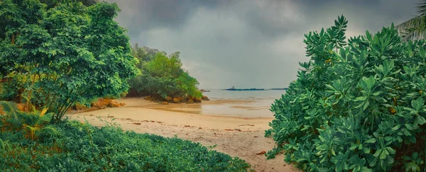 Národní Park Penang Deštivý Den Malajsie Panorama — Stock fotografie