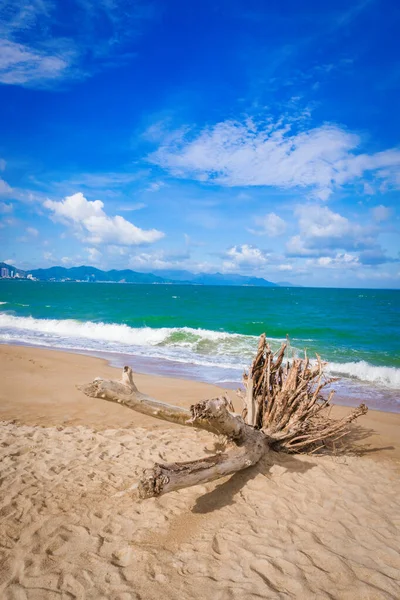 Vista Panorámica Playa Nha Trang Día Soleado Hermoso Paisaje Tropical —  Fotos de Stock
