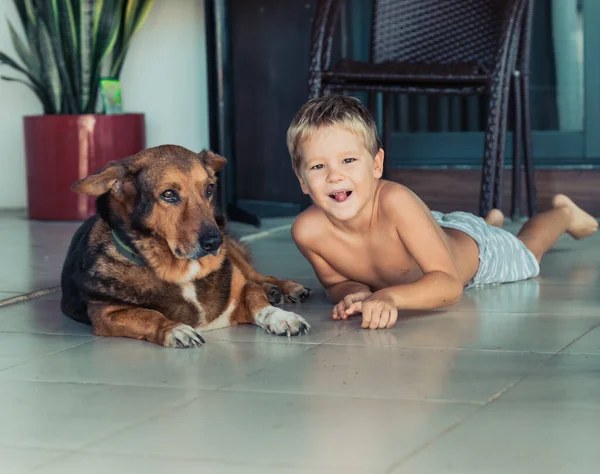 Retrato Chico Con Perro Autoaislamiento Casa — Foto de Stock