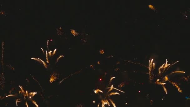 Fireworks blinkande på kvällen — Stockvideo