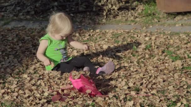Menina bonito brincando com folhas no outono — Vídeo de Stock