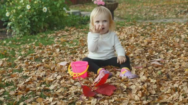 Menina bonito brincando com folhas no outono — Vídeo de Stock