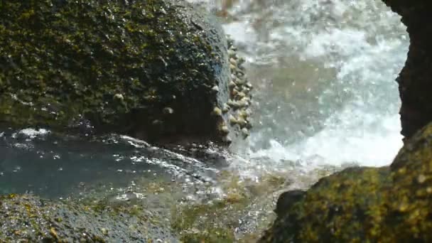 Ondas rolaram através de falésias costeiras — Vídeo de Stock