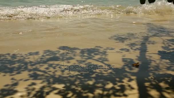 Vagues roulées sur le sable de la plage — Video