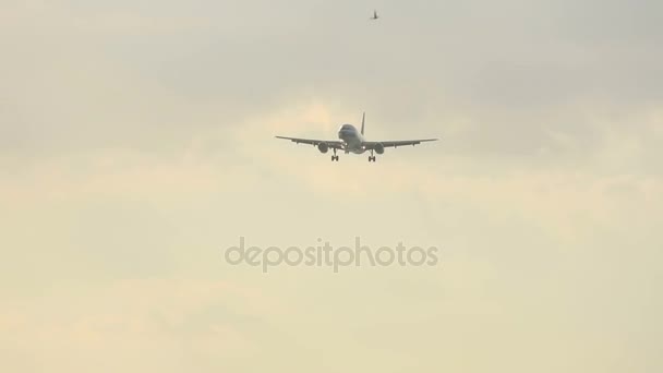 Flugzeug im Anflug über Ozean — Stockvideo