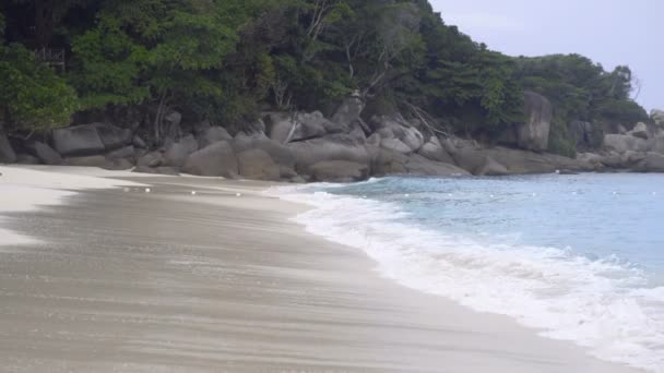 Onde roulante turquoise 