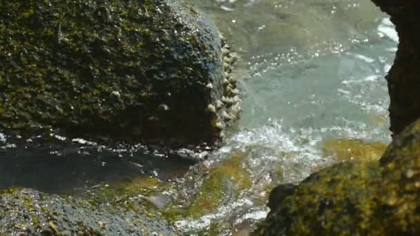 Wellen rollten durch küstennahe Klippen — Stockvideo