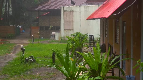 Lluvia tropical, cámara lenta — Vídeos de Stock