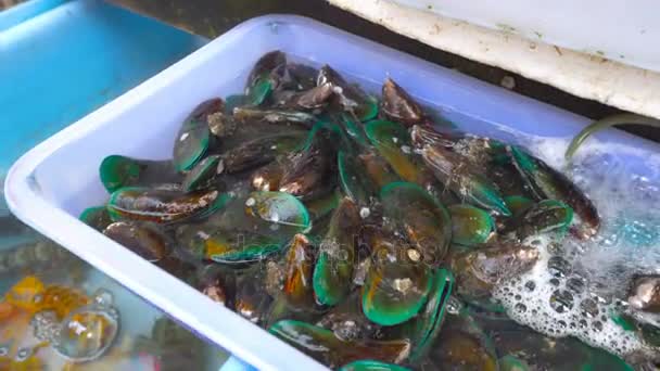 Mercado fresco de frutos do mar na Tailândia — Vídeo de Stock