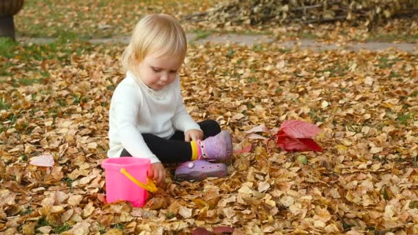 Cute dziewczynka gra z liści jesienią — Wideo stockowe