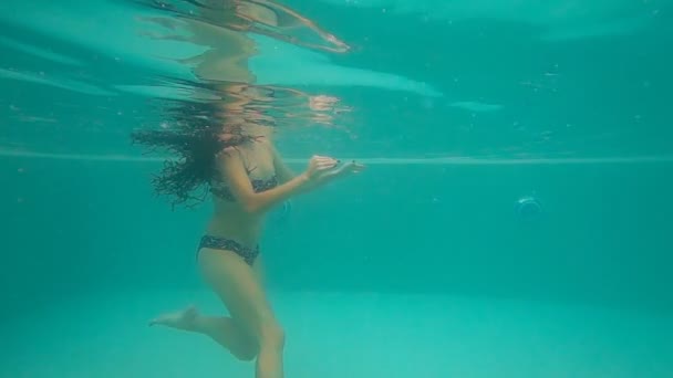 Mujer joven nadando bajo el agua — Vídeo de stock