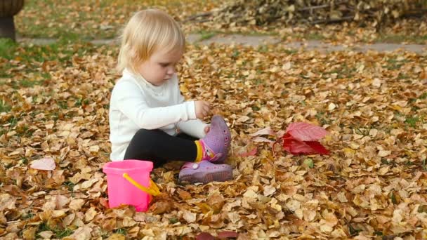 Niedliches kleines Mädchen spielt im Herbst mit Blättern — Stockvideo