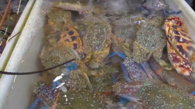 Taze Pazar Tayland deniz ürünleri