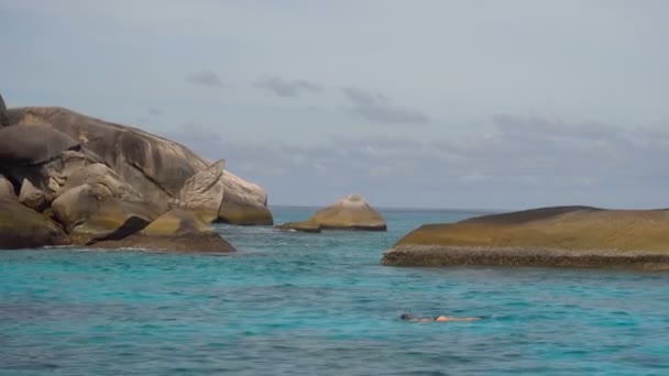 Ψαροντούφεκο κοντά σε Similans — Αρχείο Βίντεο