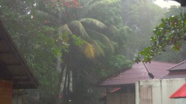 Tropikal yaz sağanak