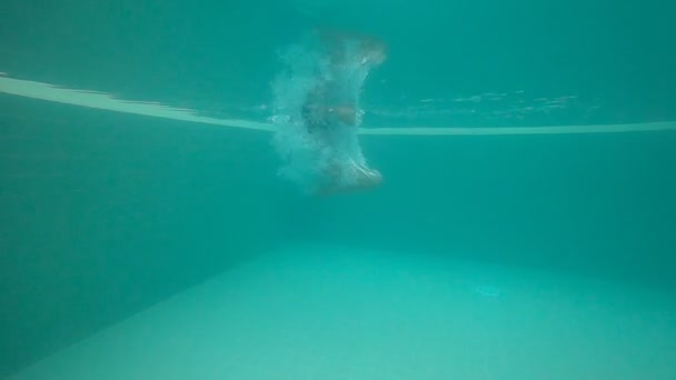 Genç bir kadın su altında yüzüyor. — Stok video