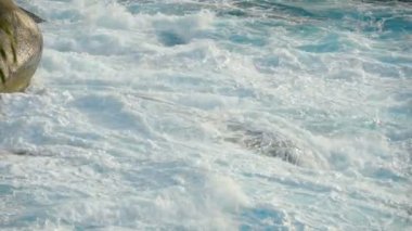 Turkuaz dalgalar, ağır çekim