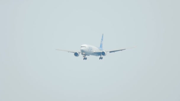 Flygplanet Boeing 767 närmar sig och landning — Stockvideo