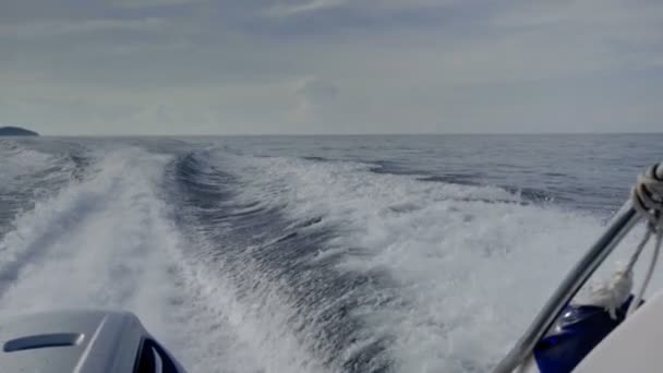 View from the rear of moving speedboat — Stock Video