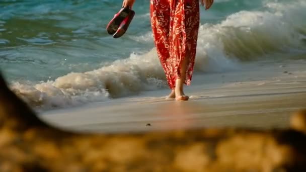 Mujer caminar en la playa — Vídeo de stock