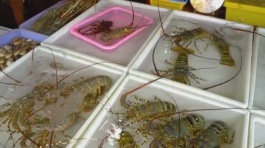 Taze Pazar Tayland deniz ürünleri