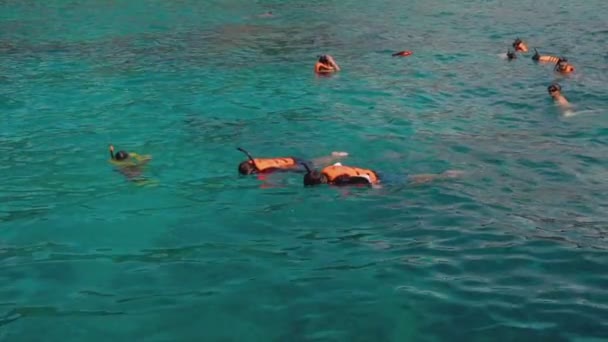 Snorkeling cerca de Similans — Vídeo de stock