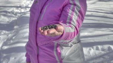 Kuşlar kadın elinde tohum yiyin