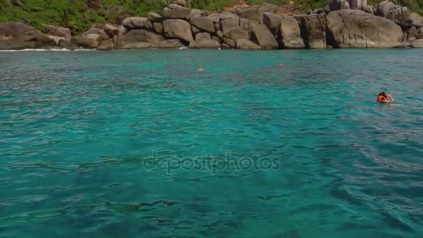 Ныряние с маской вблизи Similans — стоковое видео