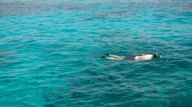 Şnorkelle Dalma Açık turkuaz su