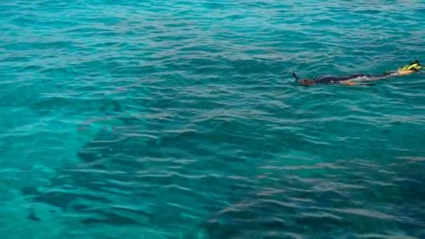 Snorkelen in het heldere turquoise water — Stockvideo