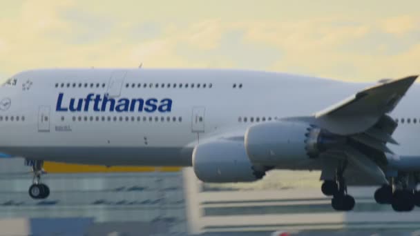 Frankfurt 'a inen uçak — Stok video