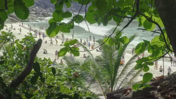 Turistas caminan por la playa — Vídeo de stock