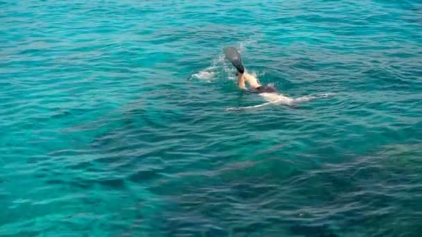 Snorkelling in the clear turquoise water — Stock Video