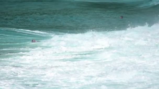 Szörfös a hullámokon — Stock videók