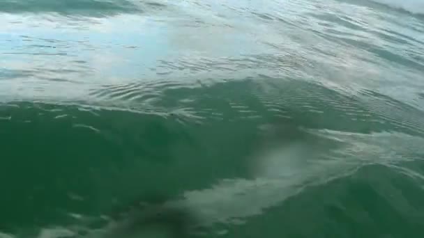 タイ ナイハーン ビーチの波 — ストック動画