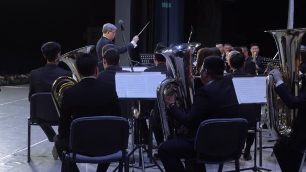 Philarmonic Orchestra konsert — Stockvideo